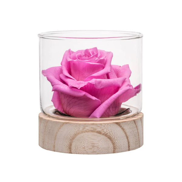 Single Rose